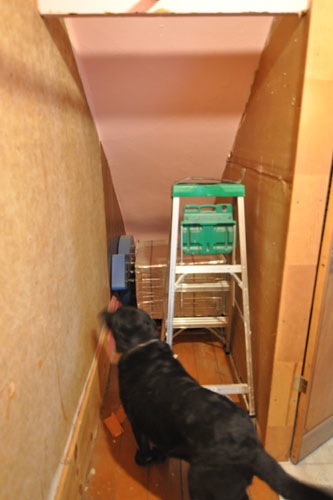 Downstairs bathroom, without paneling