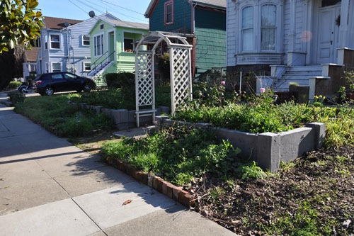 The front walk, before