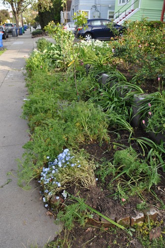 Front walk bed