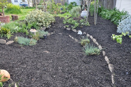 The rain garden and orchard