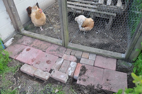 Chicken yard stoop