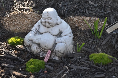 Buddha and his new plantings