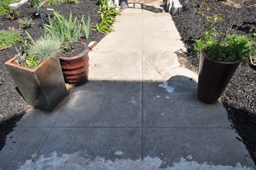 The containers in front before irrigation