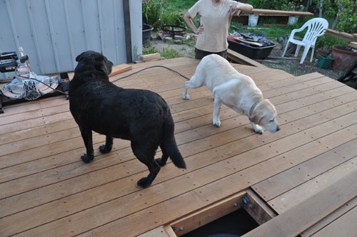 Quality assurance team inspecting the deck