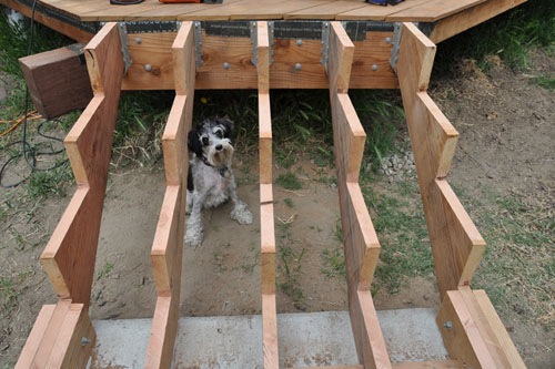Trimmed boards, the stringers, and George