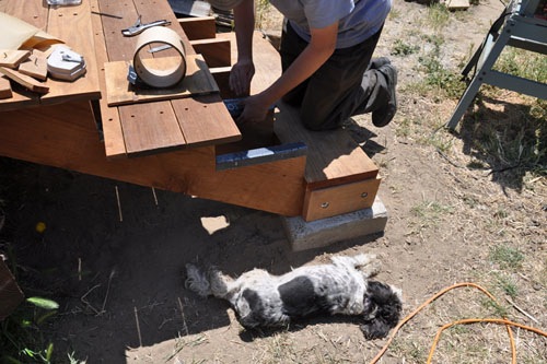 Putting Vycor on the step, with dead puppy