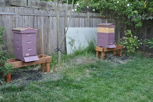 Hive A and Hive B with labels