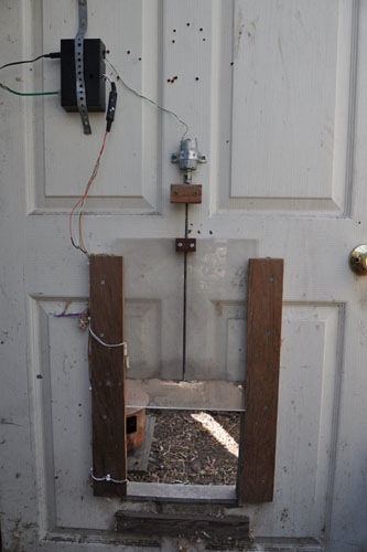 Chicken door setup