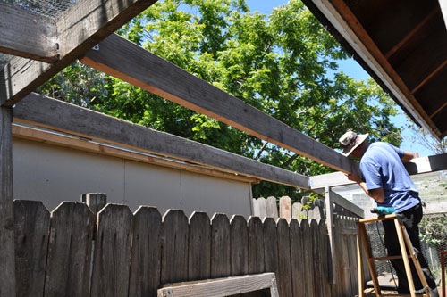 Putting in the last bit of the wire roof