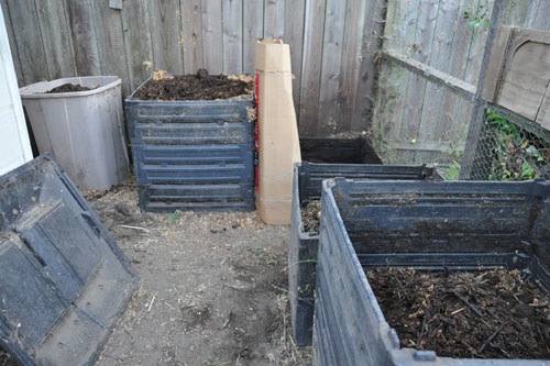 Turned and refreshed compost bins