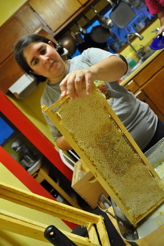 Cutting the comb out of the frame