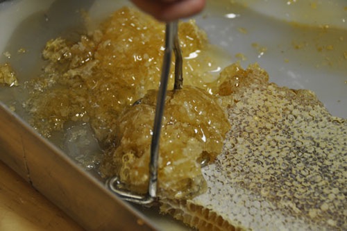 Maching the comb with a potato masher