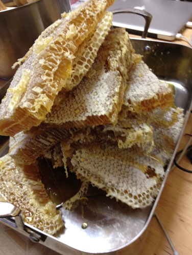 Harvesting more honey