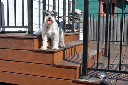 George on the upper stairs