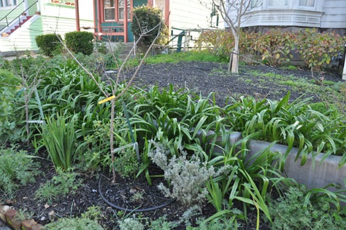 Front beds