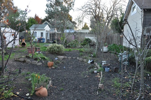 Pruned orchard