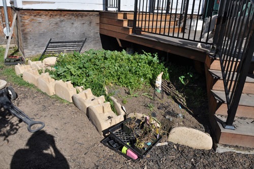 Blocks hauled to the back yard