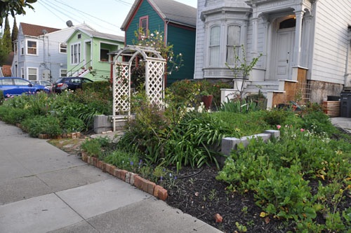 The front walk garden