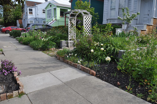 The sidewalk garden