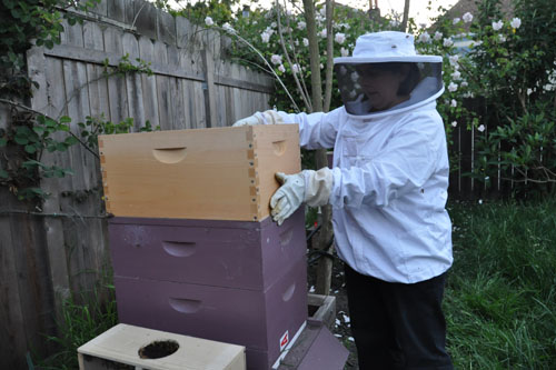 Adding feeders on top