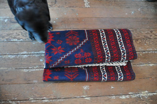 Checking out the rug