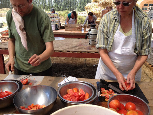 Chopping tomatoes