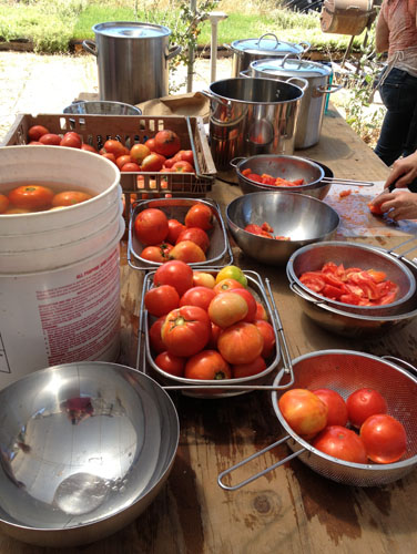 The assembly line