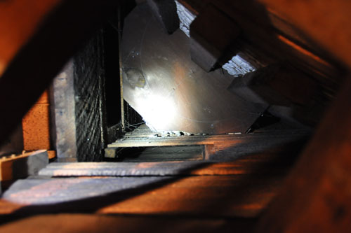 Looking up at the bottom of the niche