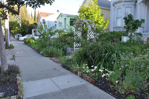 The front walk garden