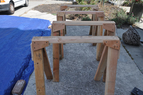 Sawhorses ready for action