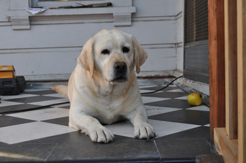 Hopper on the porch