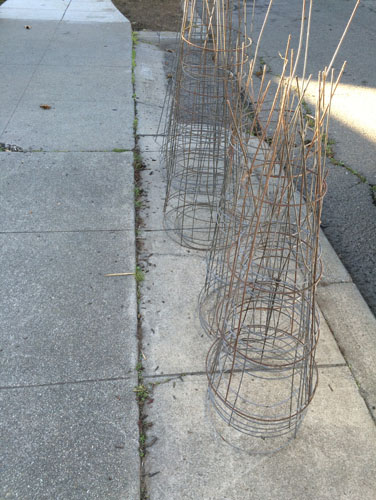 Tomato cages at the curb