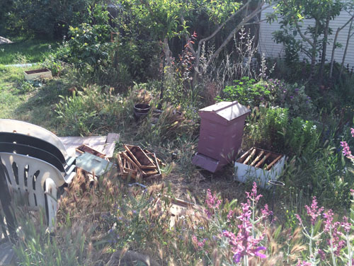 We kicked the bees out of the old equipment