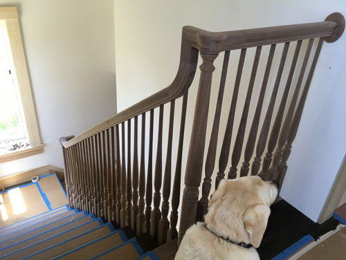 Dog and finished handrail